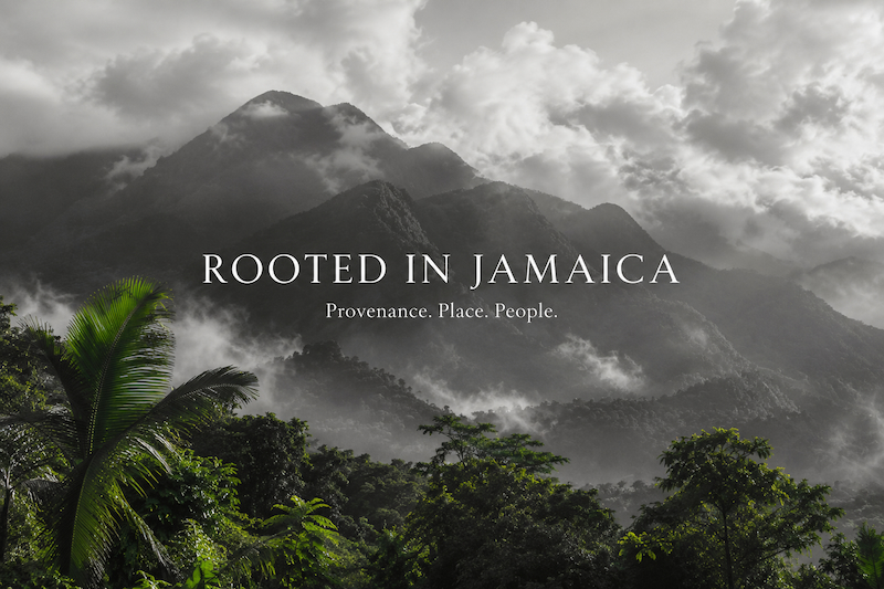Rooted_In_Jamaica