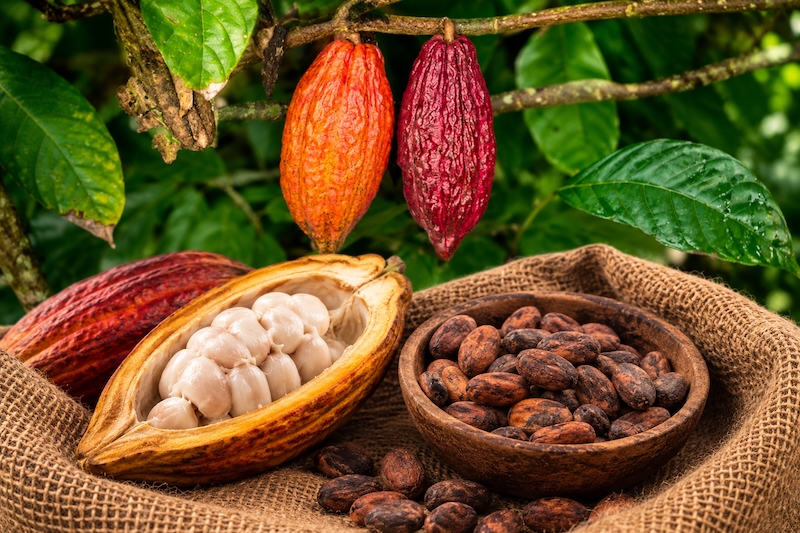 M&M_cocoa